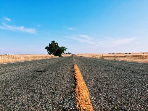 asphalt desert grass