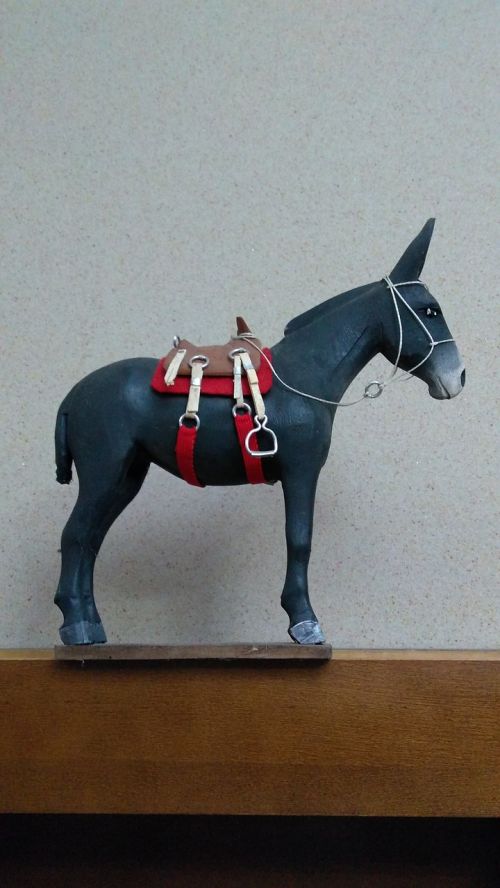 ass mule donkey