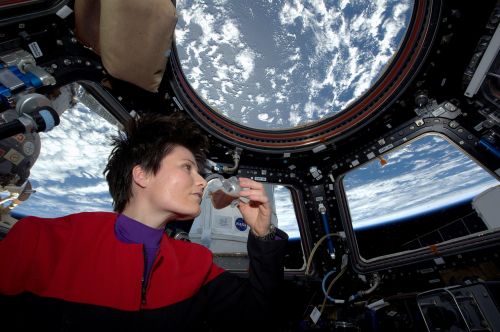 astronaut international space station cupola