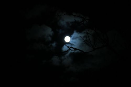 at night moon full moon