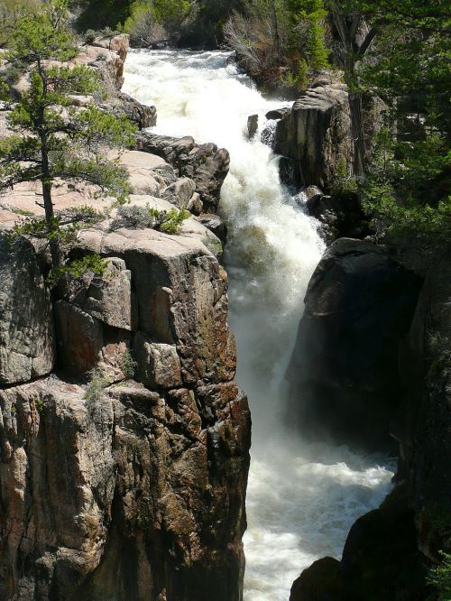 athabasca falls rocky mountain canada