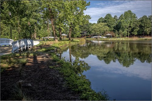 atlanta  park  landscape