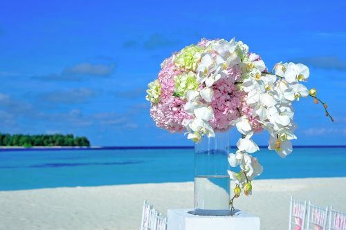 atoll decor decorations