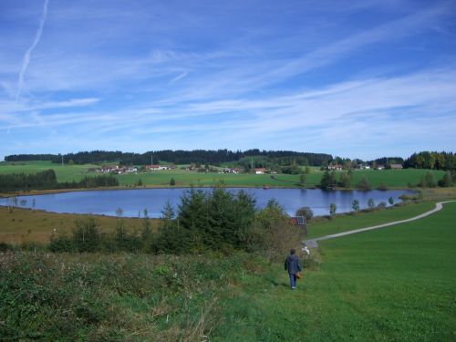 attlesee moor meadow