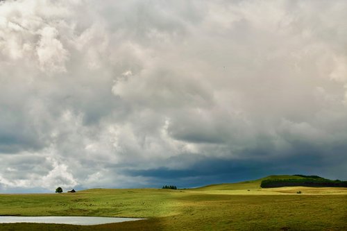 aubrac  aveyron  france