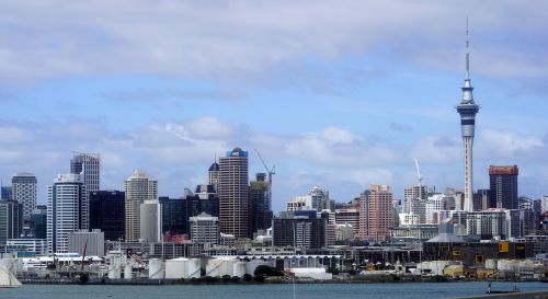 auckland skyline new zealand