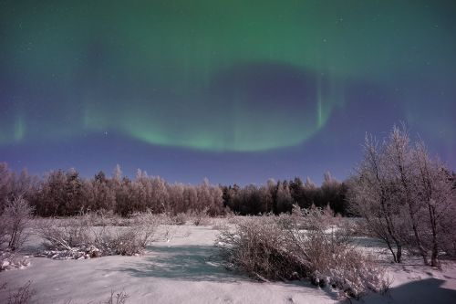 aurora green light