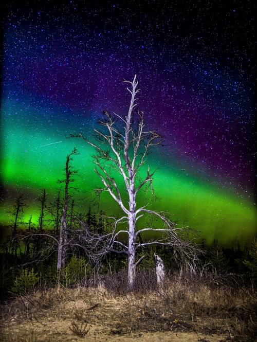 aurora northern lights sky