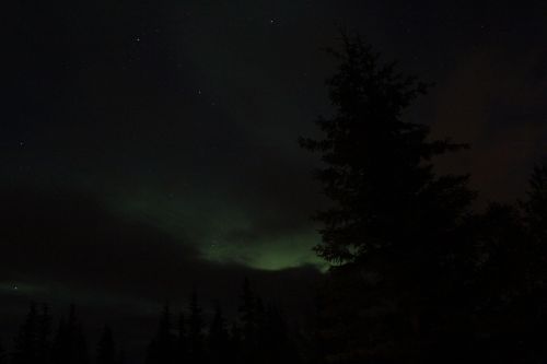 aurora northern lights alaska