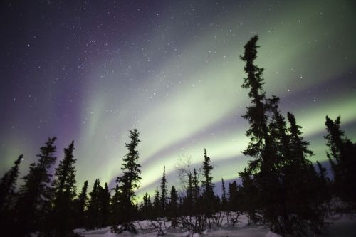 aurora northern lights aurora borealis