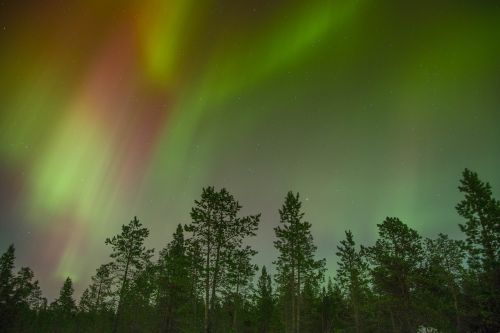 aurora borealis northern lights aurora