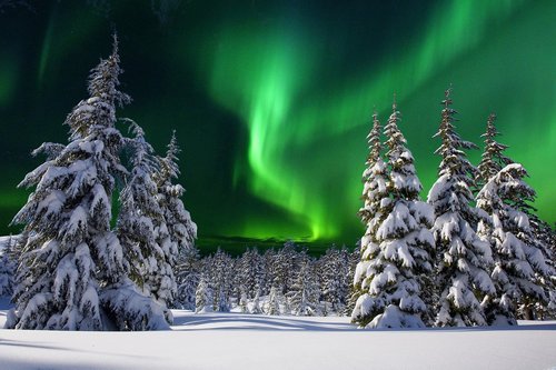 aurore boreale  night  snow