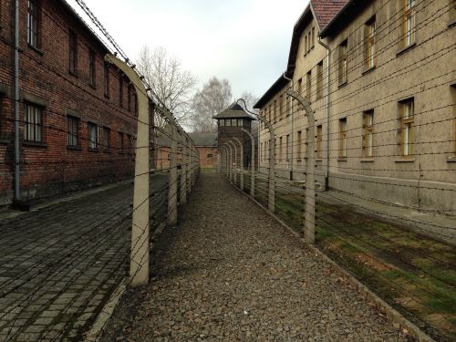 auschwitz history concentration camp