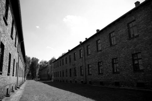auschwitz-birkenau concentration camp nazism