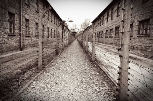 Auschwitz/Birkenau.