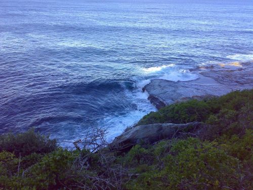 australia sea nature