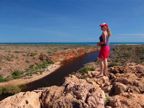 australia outback landscape