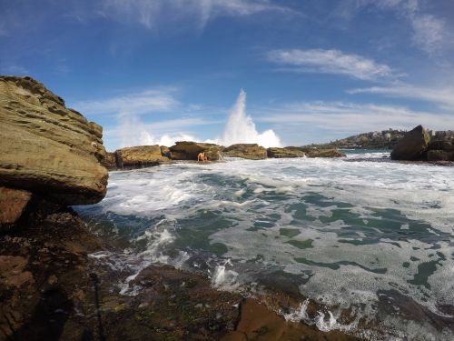 australia coogee the baths