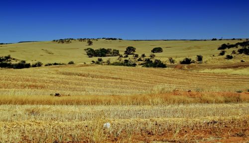 australia farm rural