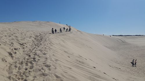 australia nature desert