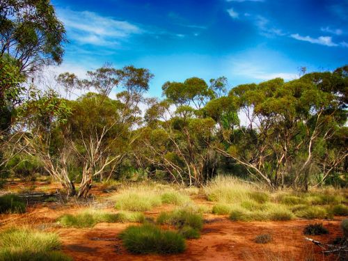 australia landscape scenic