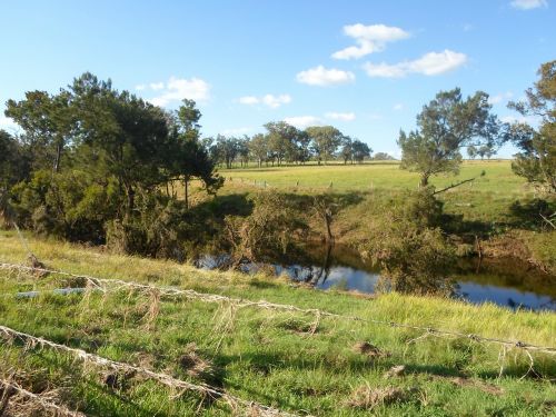 australia creek landscape