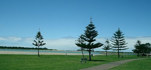 australia lake illawarra meadow