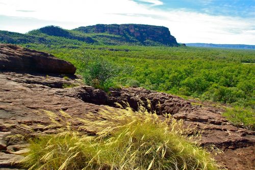 australia outback landscape