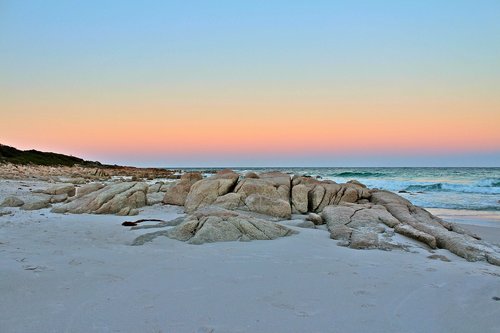 australia  tasmania  nature