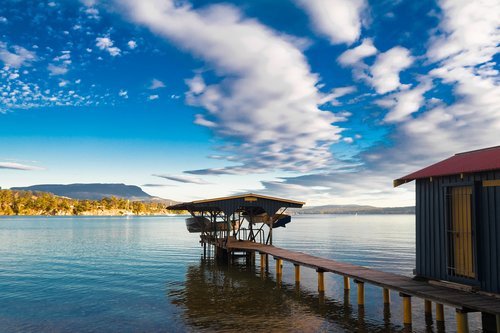 australia  tasmania  nature