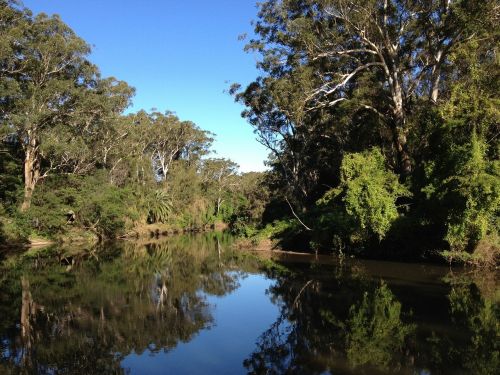 australia river stream