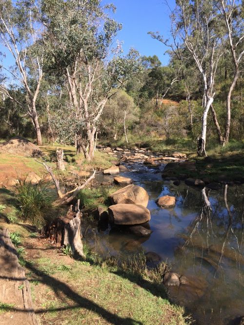 australian creek wilderness