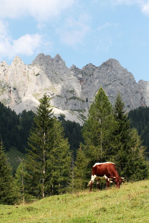 austria alps mountain