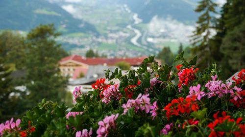 austria mountain nature