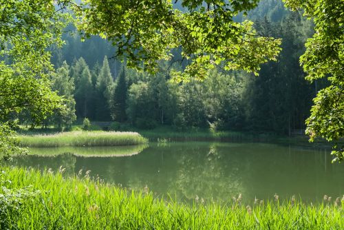 austria pond water