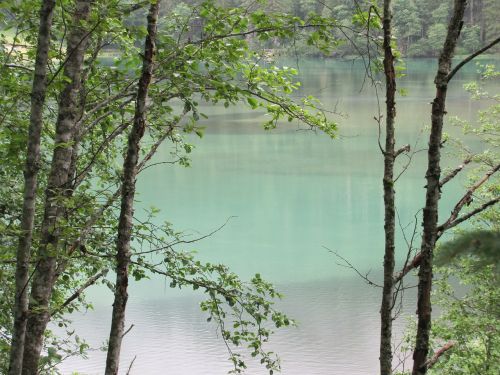 austria nature lake