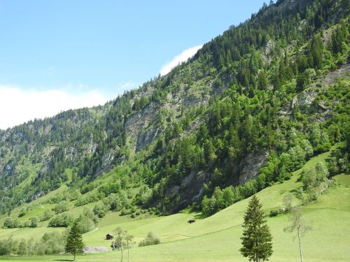 austria mountains meadow