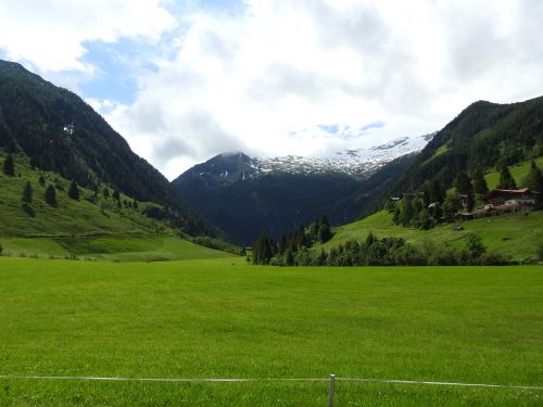 austria mountains meadow