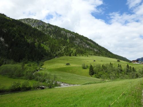 austria mountains meadow