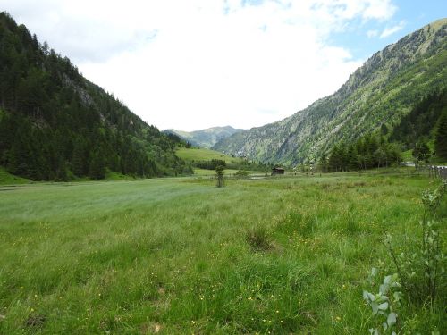 austria mountains meadow