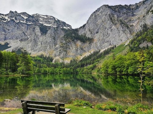 austria  lake  nature