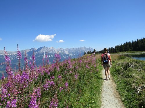 austria  hiking  mountains