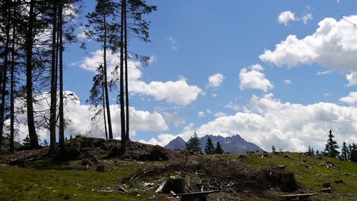 austria  nature  mountains