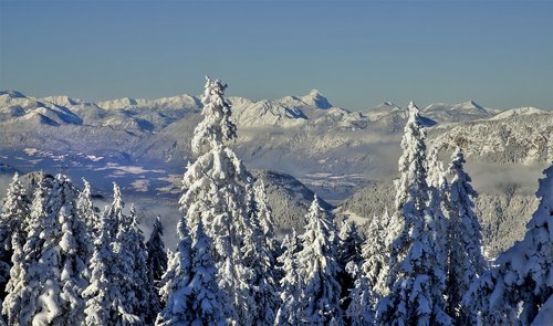 austria  winter  snow