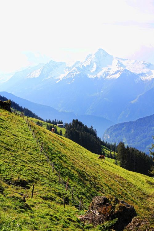austria mountains alpine
