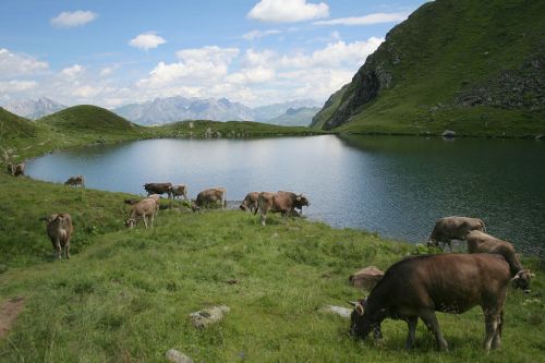 austria landscape sky