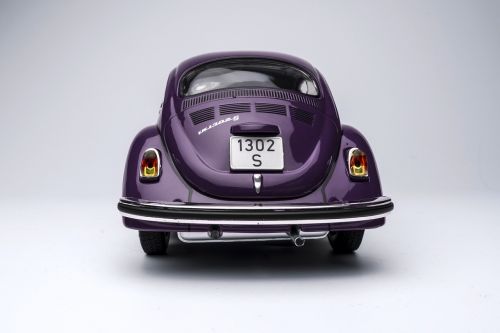 auto color beetle