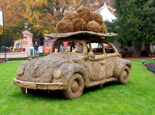 auto vw beetle autumn