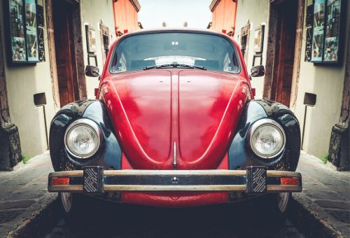 automobile automotive beetle