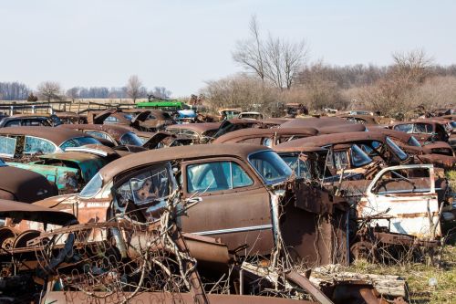 Automobile Graveyard